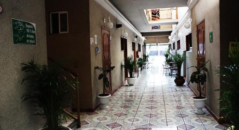 Condesa Americana
